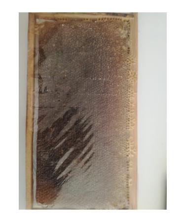 OZMU BAL Huge Campaign from Honey Producer Retail Sale at Wholesale Price Lath 3 kg