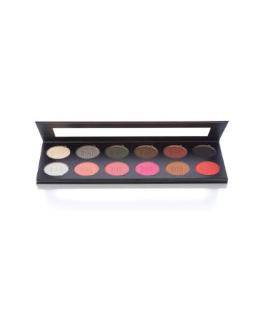 BenNye Eye Shadow & Blush Palette