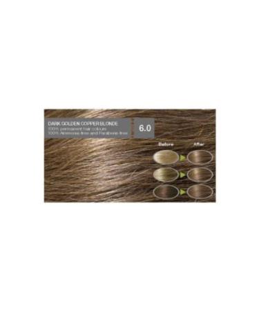 Naturigin Organic Hair Dye 6.0 Dark Golden Copper Blonde - Buy Online on GoSupps.com