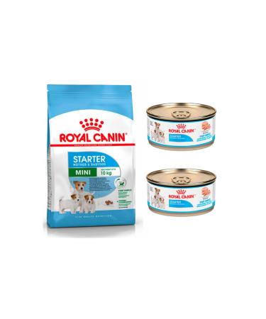 Royal Canin Mini Starter Puppy Food 3 Kg + Mini Starter Can 2 Pieces (original)