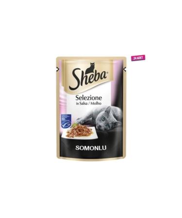 SHEBA 24 Pieces - Selection Sauce Salmon Pouch Adult Cat Canned Food 85 gr