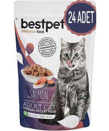 Bestpet Adult Jelly Pouch Salmon Cat Food 85 gr X 24