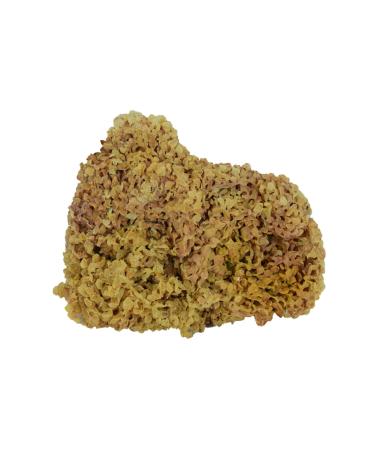 LokmanAVM Natural Local Sea Shredded Wheat 100 gr