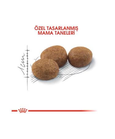 Royal Canin Sterilised 37 Sterilised Cat Food 2 kg - Buy Online on GoSupps.com