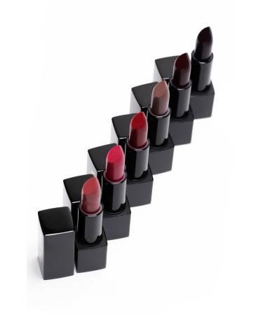 Pierre Cardin Maroon Retro Matte Lipstick 157 - Buy Online on GoSupps.com