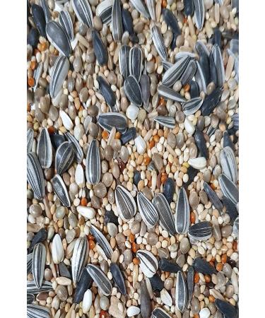 Ankara Feed House Cockatiel Food 5 Kg