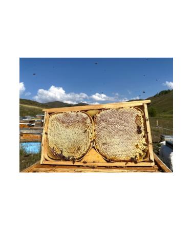 Come From The Village Black Hive Honey - 1200 Grams - Buy Online on GoSupps.com