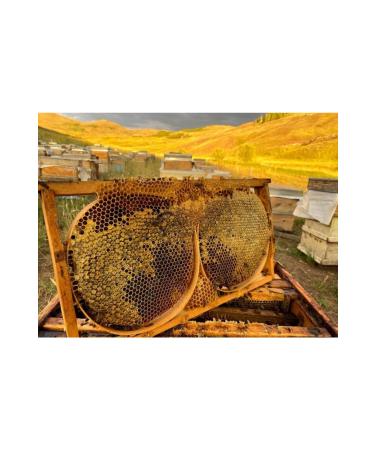 Come From The Village Black Hive Honey - 1200 Grams