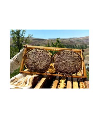 Come From The Village Black Hive Honey - 1200 Grams - Buy Online on GoSupps.com