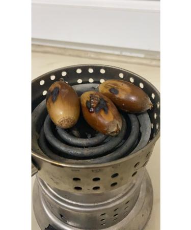 Beyisa Oak Acorn Eastern Chestnut Acorn Nut 1 Kg Acorn - Buy Online on GoSupps.com