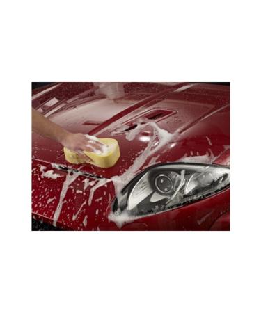 AutoGlym Bodywork Shampoo Conditioner pH Neutral Polished Shampoo 1 lt - Buy Online on GoSupps.com