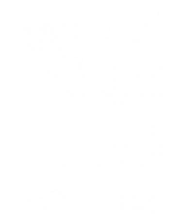 Nature's Protection Indoor Cat Food 2 Kg