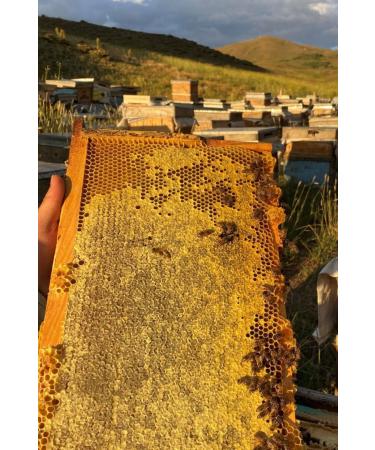 Come From The Village Comb Honey - 1500 Grams