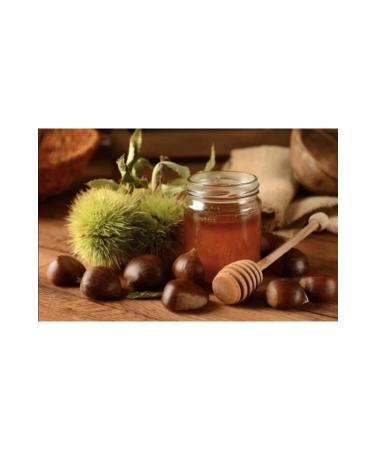 HANZADE GURME Chestnut Honey 425 gr