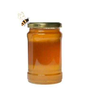 Eaktariye Eastern Black Sea Chestnut Honey 470 gr