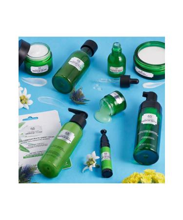 THE BODY SHOP Drops Of Youth Moisturizing Cream 50ml - Buy Online on GoSupps.com