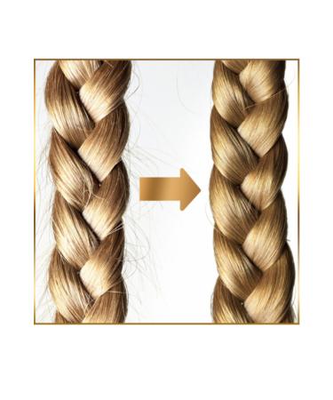 Pantene Shampoo Repair and Protective Care 200 Ml. Set of 4 - Buy Online on GoSupps.com