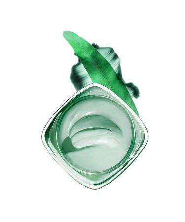 L'Oreal Paris Pure Clay Purifying Mask - Pure Clay 50 Ml 3600523306237 - Buy Online on GoSupps.com