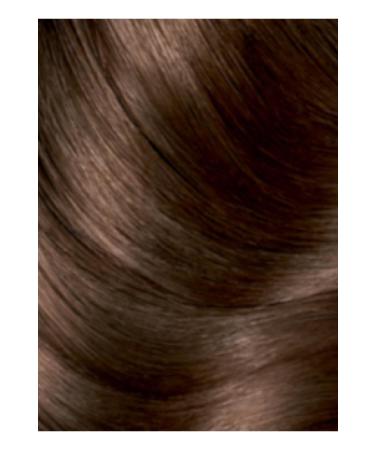 Garnier Striking Colors 5.0 Bright Light Brown - Buy Online on GoSupps.com