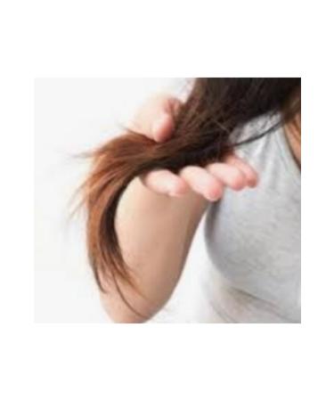 PROX VE Prox ve Anti Hair Loss Keratin Complex Repair Shampoo 650 ml 2-pack - Buy Online on GoSupps.com