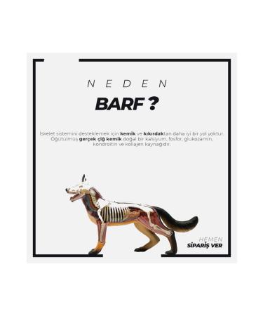 BARFTR Mix Barf 13 Kg Open and Finish Dog Food (13 Pack - 1000 Gr) - Buy Online on GoSupps.com