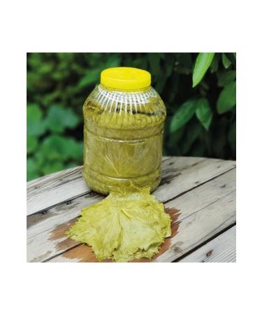 hatay wholesale local Hatay Leaf 3 Kg