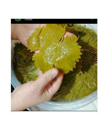 Emine Han m leaves 2024 Tokat Erbaa Pomegranate Leaf 5kg Medium Size - Buy Online on GoSupps.com