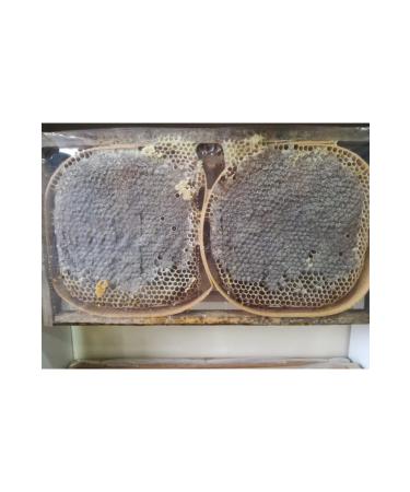 OZMU HONEY Real Black Hive from Sivas Ozmu Village 1.2kg