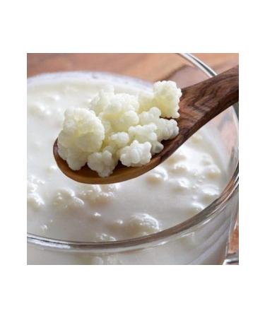 FAGIDA Homemade Kefir Yeast 20gr