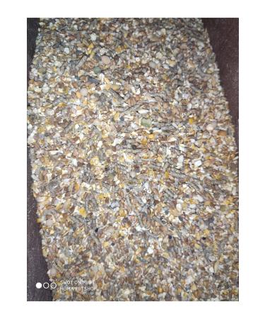 Blue Green Berra 10 Kg Mixed Chicken and Rodent Food - Buy Online on GoSupps.com