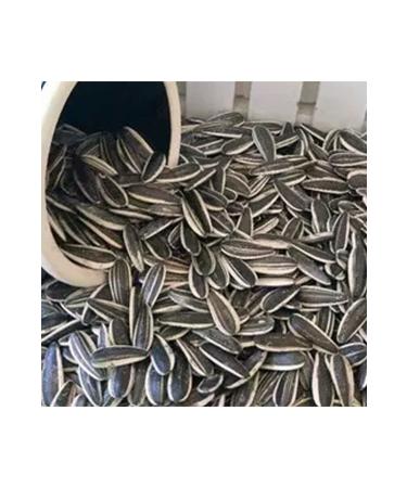 AbbasShop Salted Roasted Dakota Kernel 5 Kg The More You Eat The More You Get Coarse Grain