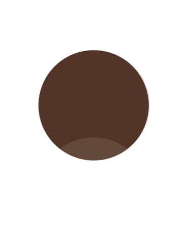 ROSEVELT Permanent Makeup Dye 231 Expresso Permanent Makeup Eyebrow Dye