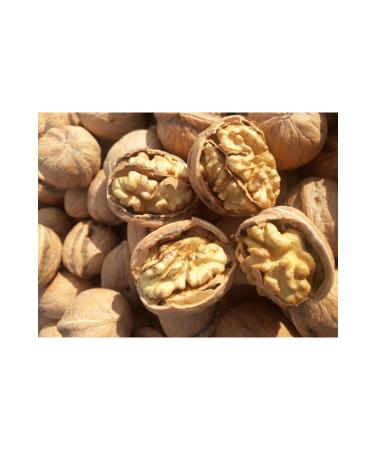FAMOUS HEALING Double Size Shelled Walnut Local New Crop Thin Shell 1kg