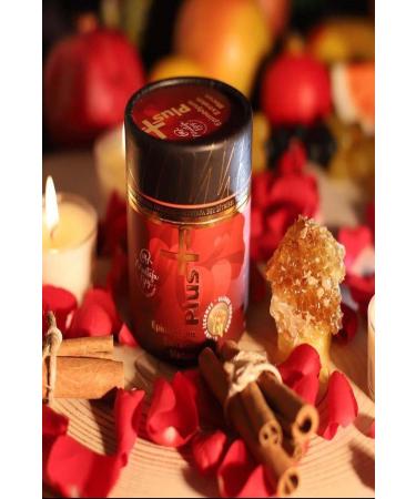 FMS Mustafa Bey Plus