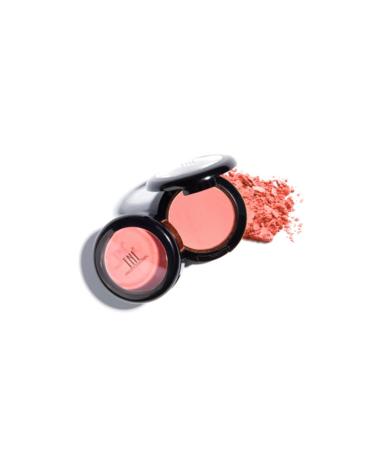 tnl professional Tnl Natural Cheek Blush Shade 04