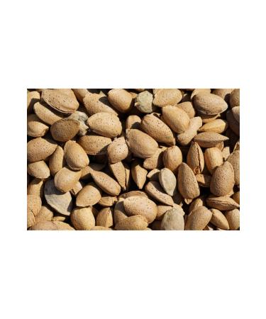 aspuzu Shelled Almonds 1 kg