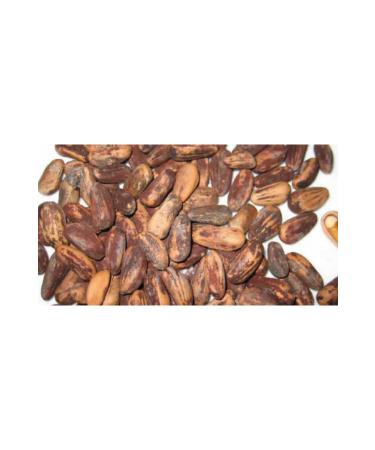 FAMOUS HEALING Pine Nuts In Shell New Crop 1 kg