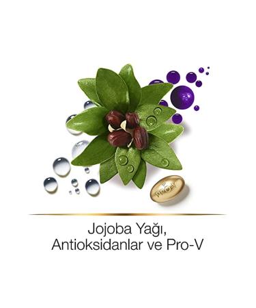 Pantene Hair Biology Color Revitalizing and Brightening Mask for Blonde and Gray Hair 160 Ml - Buy Online on GoSupps.com