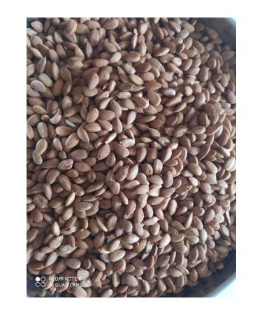 S VRICE T CARET 2 Kg Apricot Kernel