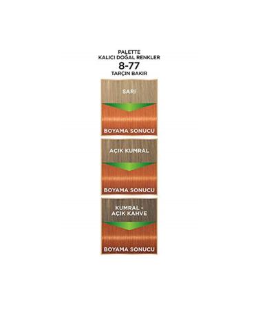 Palette Permanent Natural Colors 8-77 Cinnamon Copper Hair Dye - Buy Online on GoSupps.com