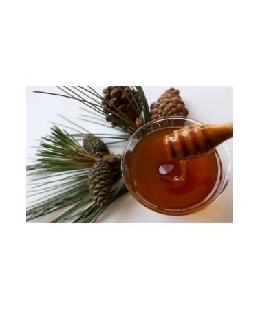 Organicmarket Marmaris Natural Pine Honey 500 gr