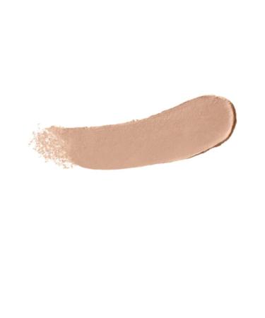 Maybelline Slay With Super Stay Multi-Purpose Stick Foundation 010 Ivory 30170735 - Buy Online on GoSupps.com