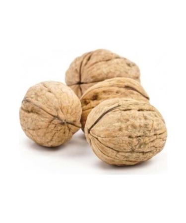 FAMOUS HEALING Chandler Walnut Thin Shell Local New Crop 3 kg - Buy Online on GoSupps.com