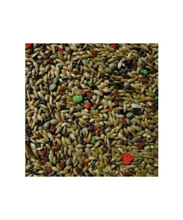 SAH NPETSHOP Mixed Canary Food 5 Kg