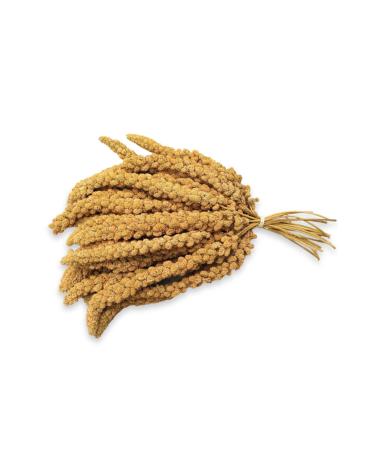 Jungle Natural Dal Millet 500 G - Buy Online on GoSupps.com