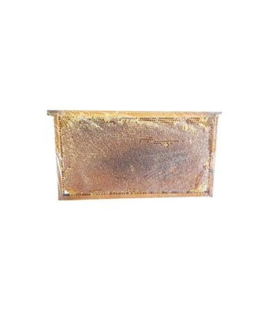 Erzincan Organic Comb Honey (3 KG-4KG)