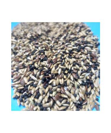 Vivid Mixed Canary Food 2 Kg - Buy Online on GoSupps.com