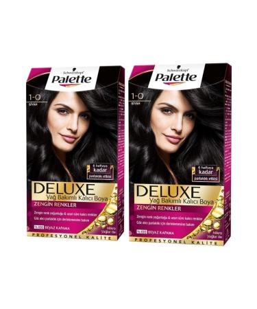Palette Hair Dye 1.0 Black 2 Pieces