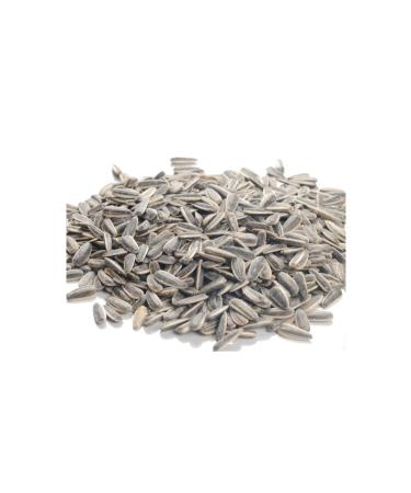 NUTS WITH CHIP CHIP Roasted Salted Dakota Sunflower Seeds 5 Kg