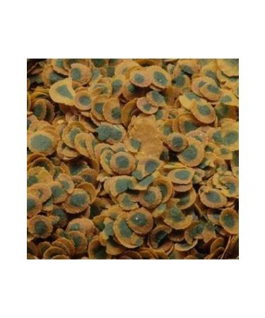 Tetra Pro Algae 500 Gram Herbal Fish Food - Buy Online on GoSupps.com